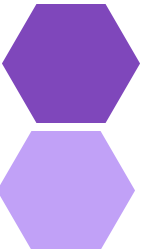 Two purple hexagonal shapes arranged vertically