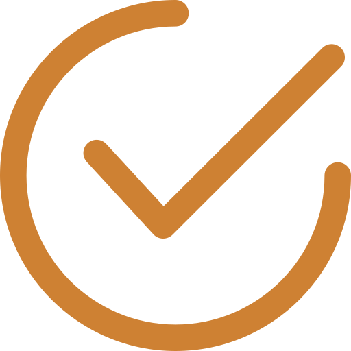 Orange check mark with circular design on a white background
