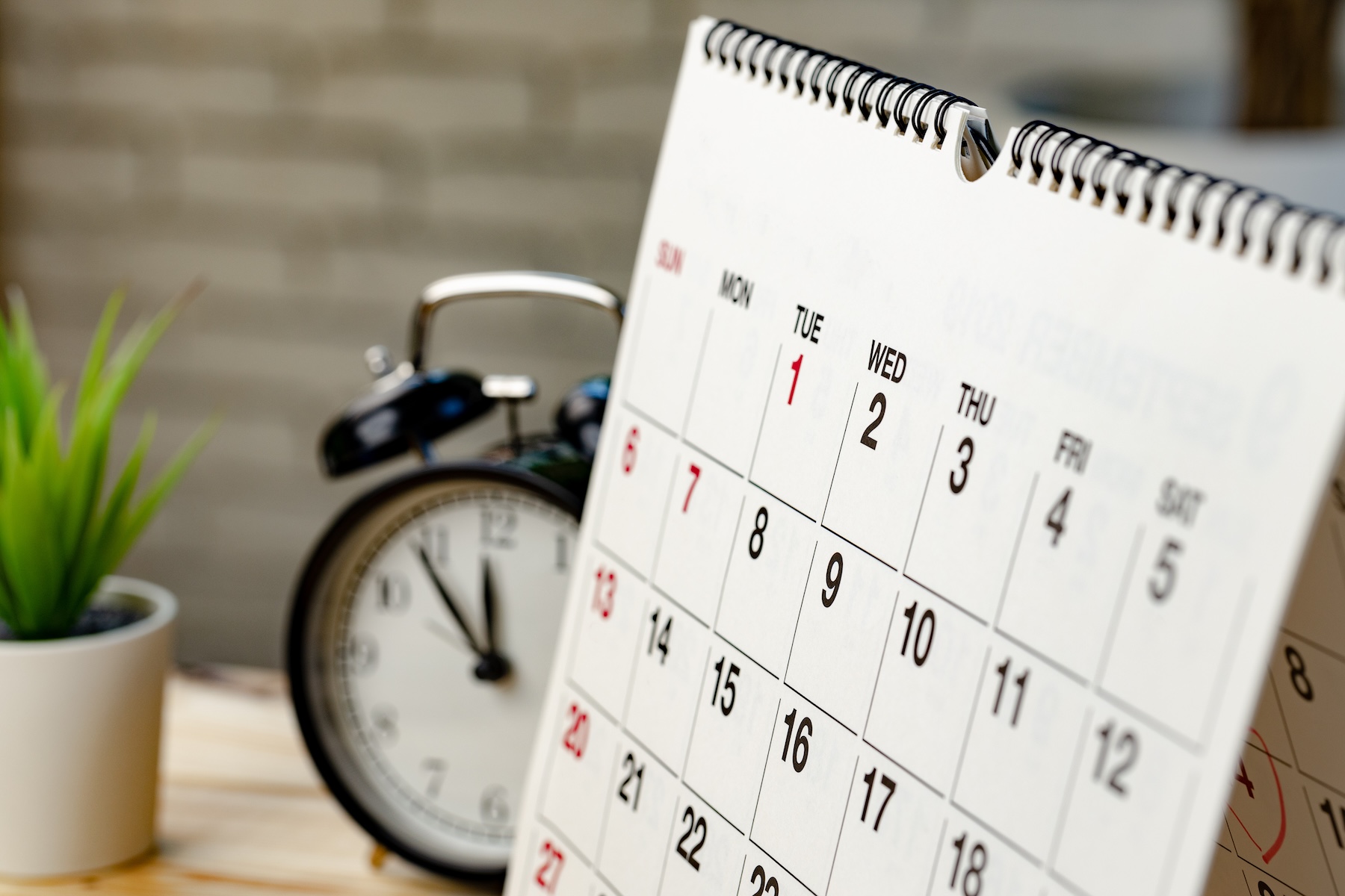 Mid-Year Momentum: 5 Moves Small Businesses Must Make